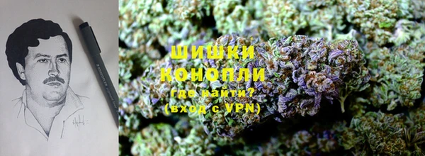 MESCALINE Магадан