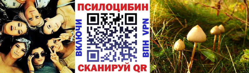 Галлюциногенные грибы MAGIC MUSHROOMS как найти Касли