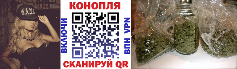 купить наркотики цена  Касли  Бошки Шишки OG Kush 